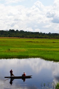Des pêcheurs