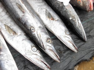 Le poisson sur le marché