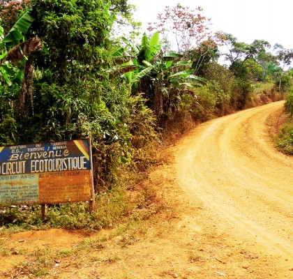 La piste près des chutes de la Mamy Wata