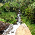 Les chutes