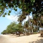La plage