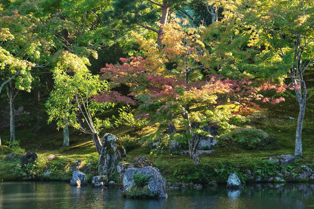 Les prémices de l'automne au Tenryu-ji de Kyoto