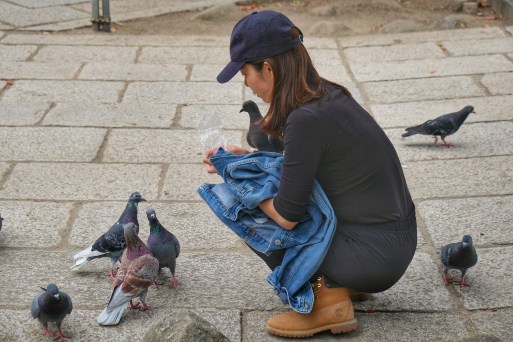 Une dame nourrit les pigeons de Matsumoto
