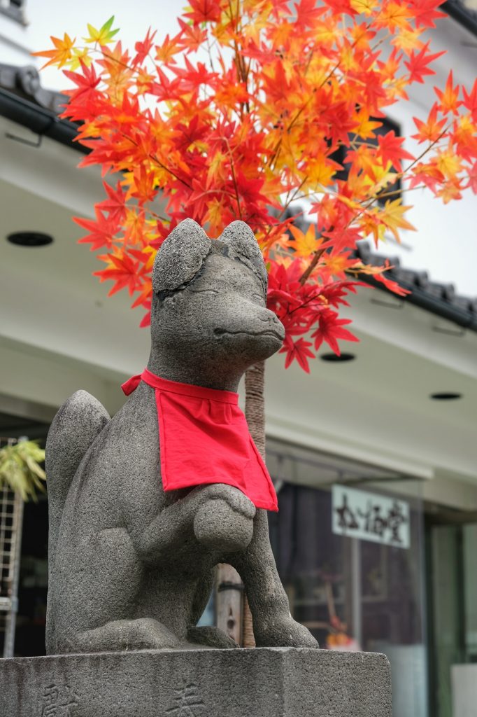 Un renard dans une rue de Matsumoto