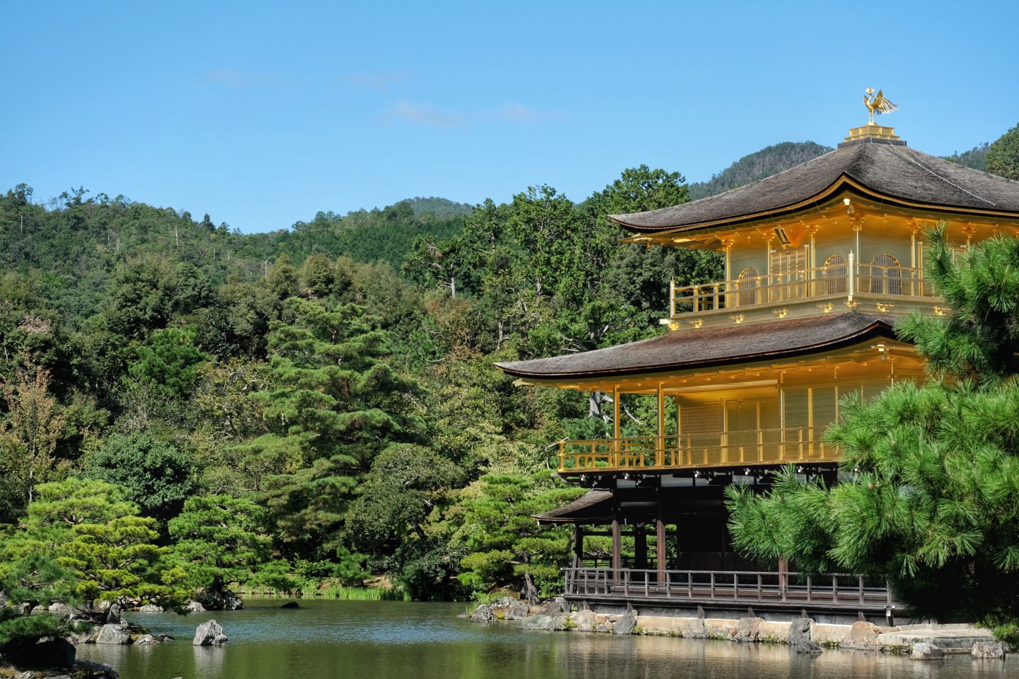 Le Pavillon d'Or de Kyoto