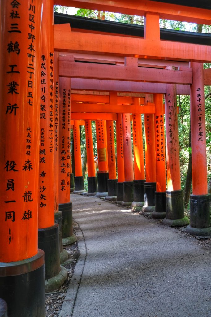 Rare moment, personne n'est visible dans les toriis du Fushimi Inari Taisha