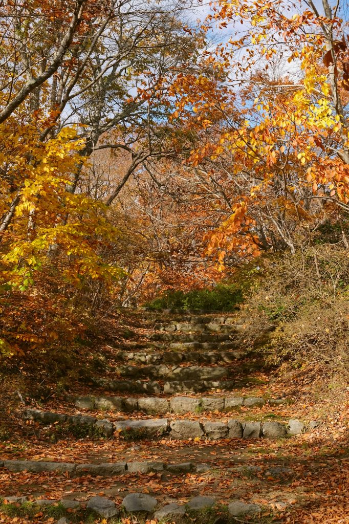 Le chemin du parc Onuma