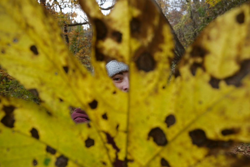 Claire à travers une feuille trouée à Hakodate
