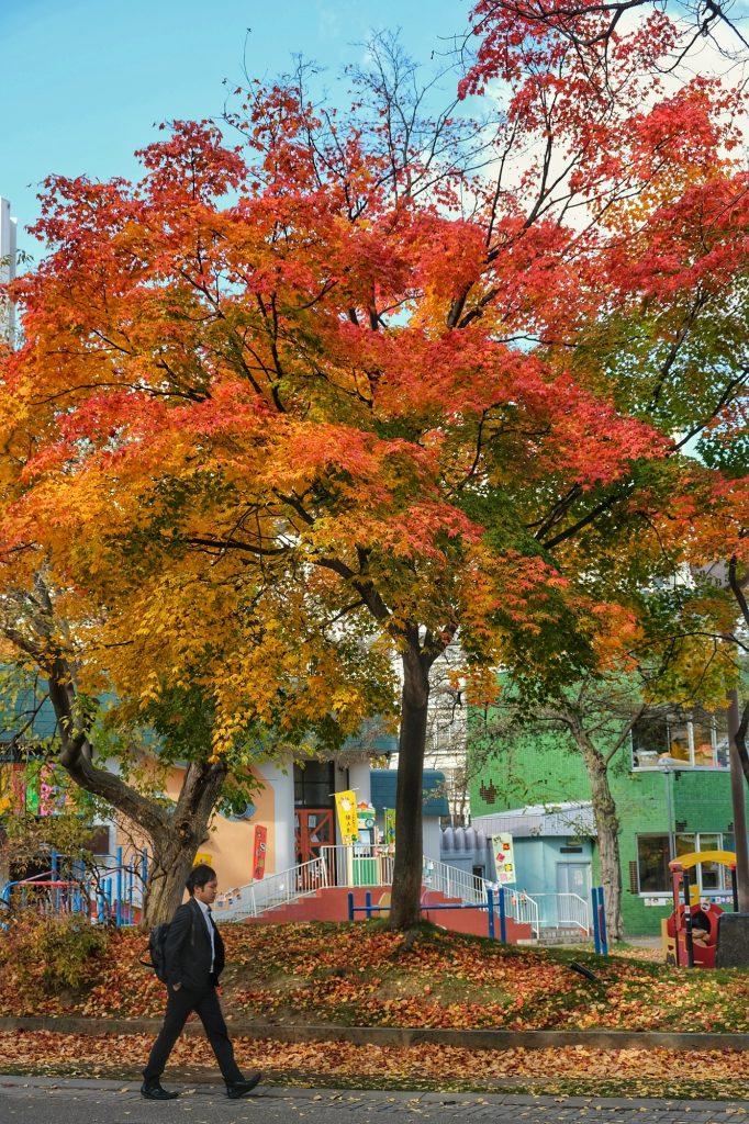 Un salary man dans la parc de Nakajimakoen à Sapporo