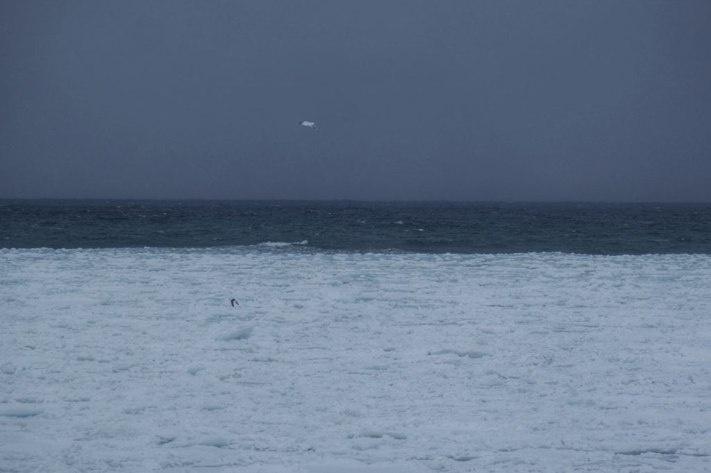 La glace à la dérive dans la mer d'Okhotsk