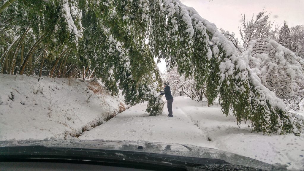 On se débrouille pour rejoindre les routes principales