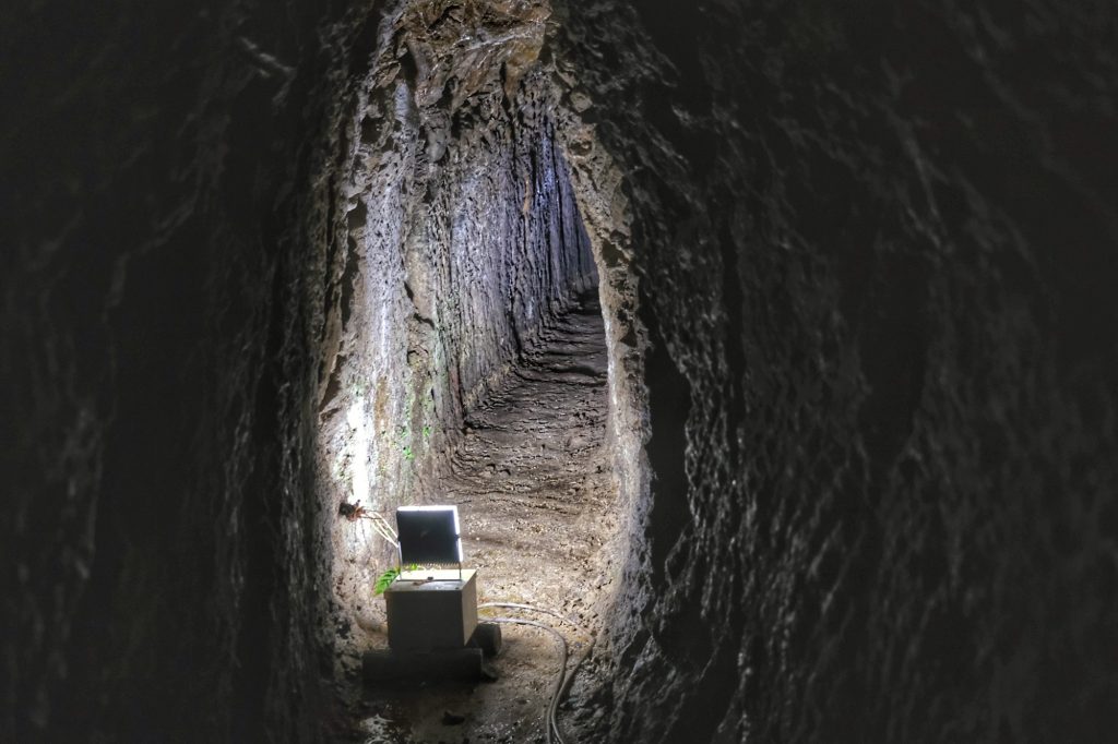 Un ancien tunnel de la mine d'Iwami Ginzan