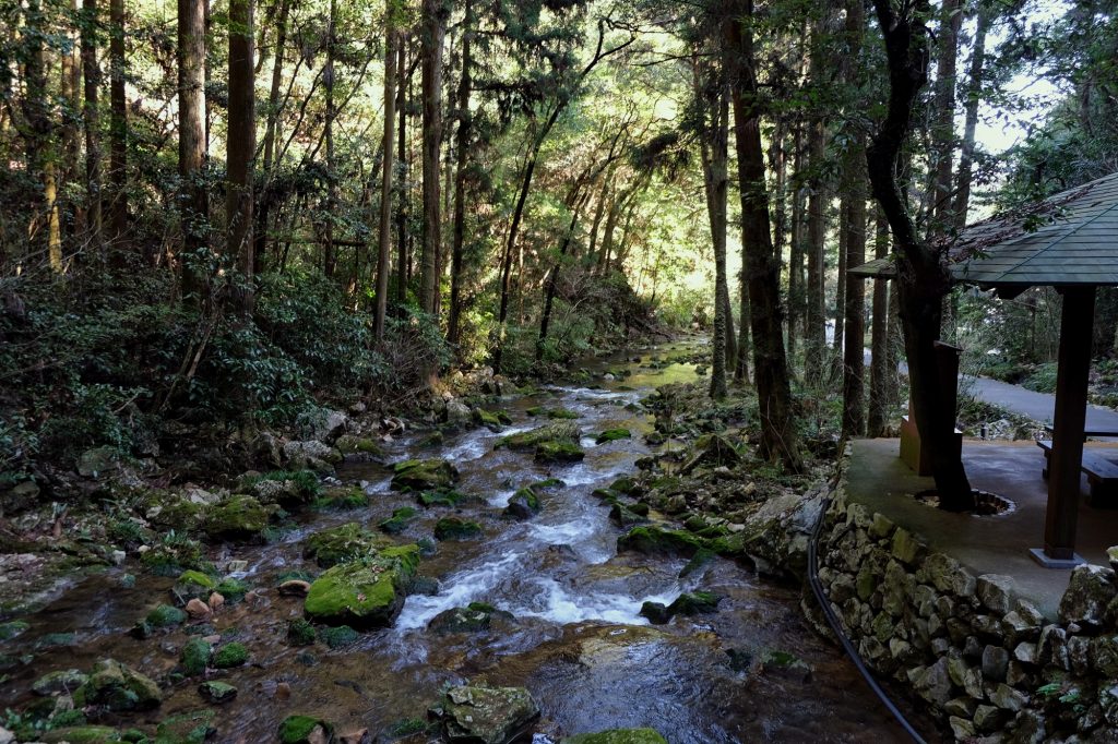 La rivière sortante de la grotte d'Akiyoshido