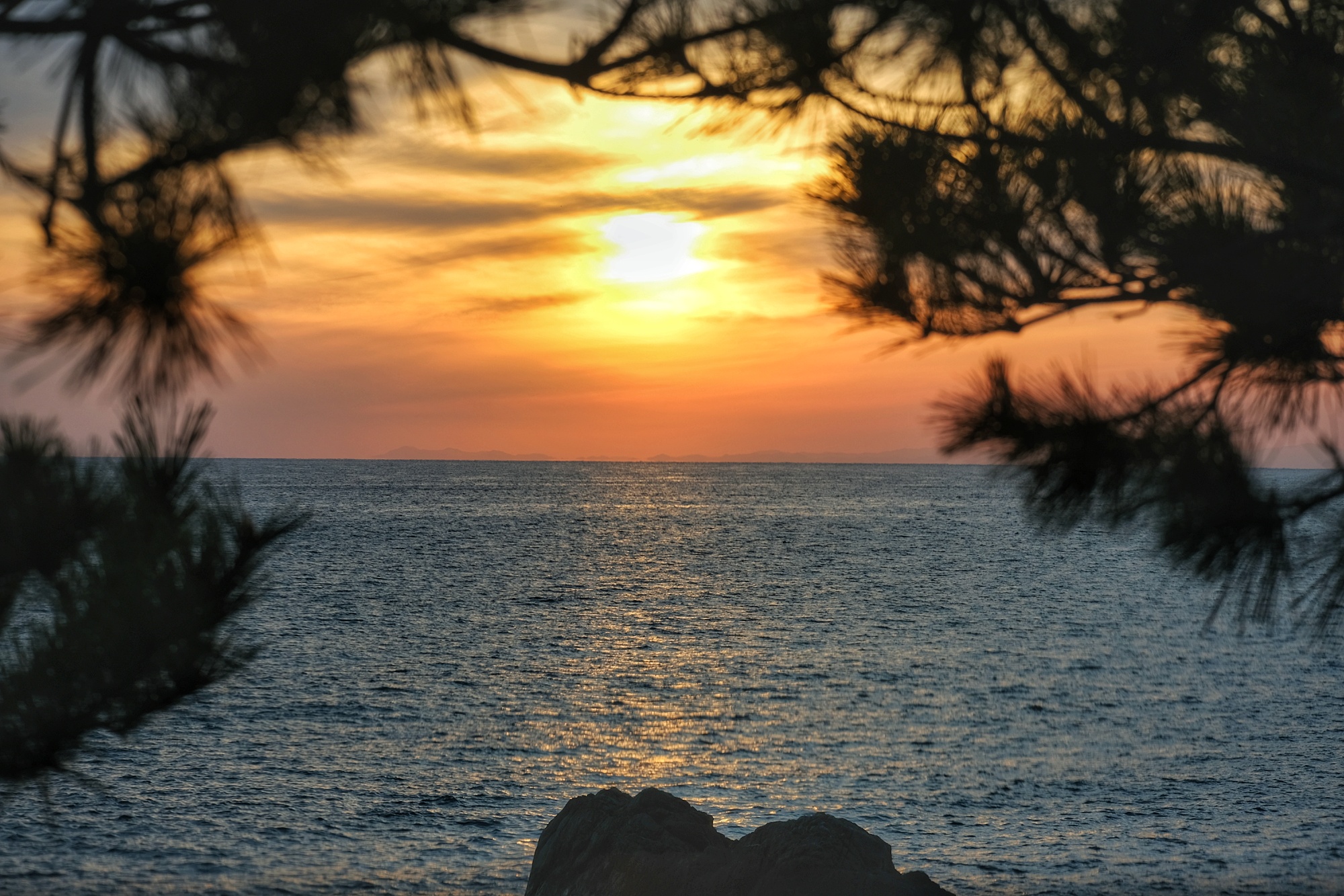 Coucher de soleil entre les branches près du cap Muroto