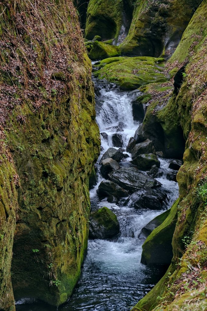 La rivière encaissée des gorges de Takachiho
