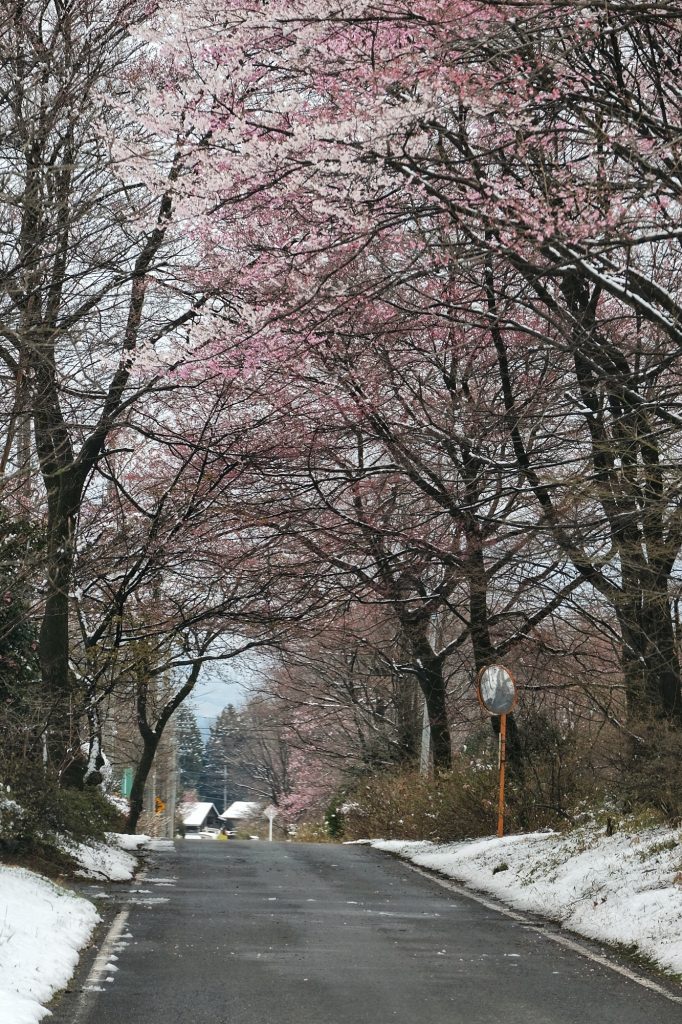 La neige s'invite sur le chemin du retour