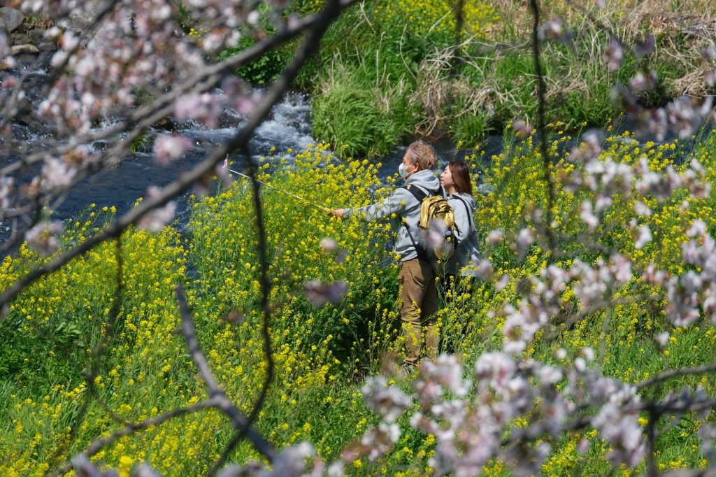 Selfie devant les fleurs de la rivière Urui à Fuji