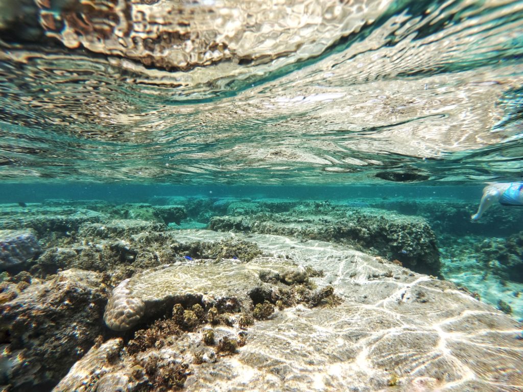 Snorkeling au-dessus de 