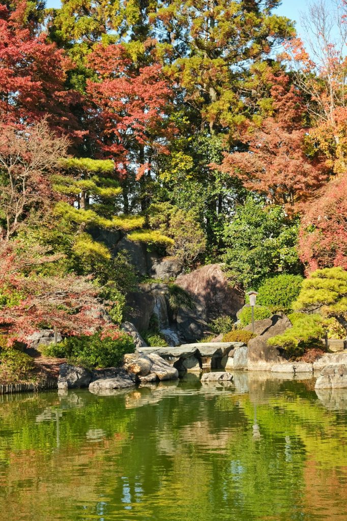 L'étang, la cascade et les arbres du jardin japonais du parc Daisen