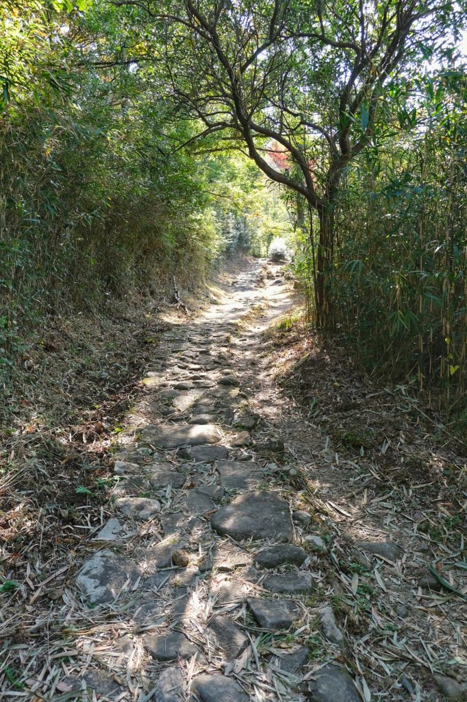 Chemin pavé montant au mont Ikoma