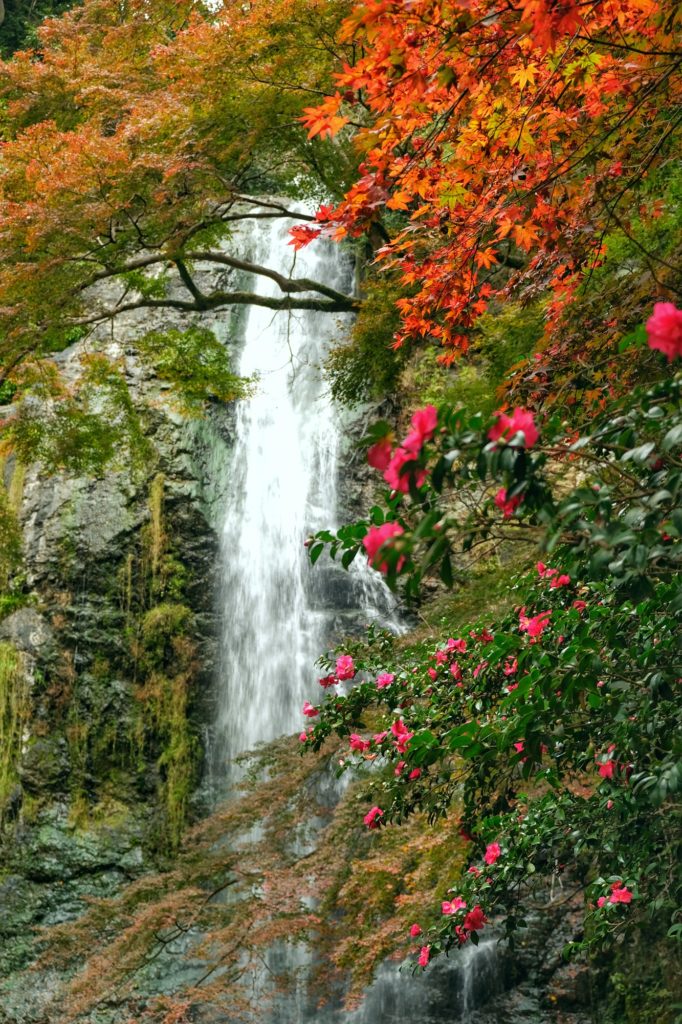 Les chutes de Minoo en automne