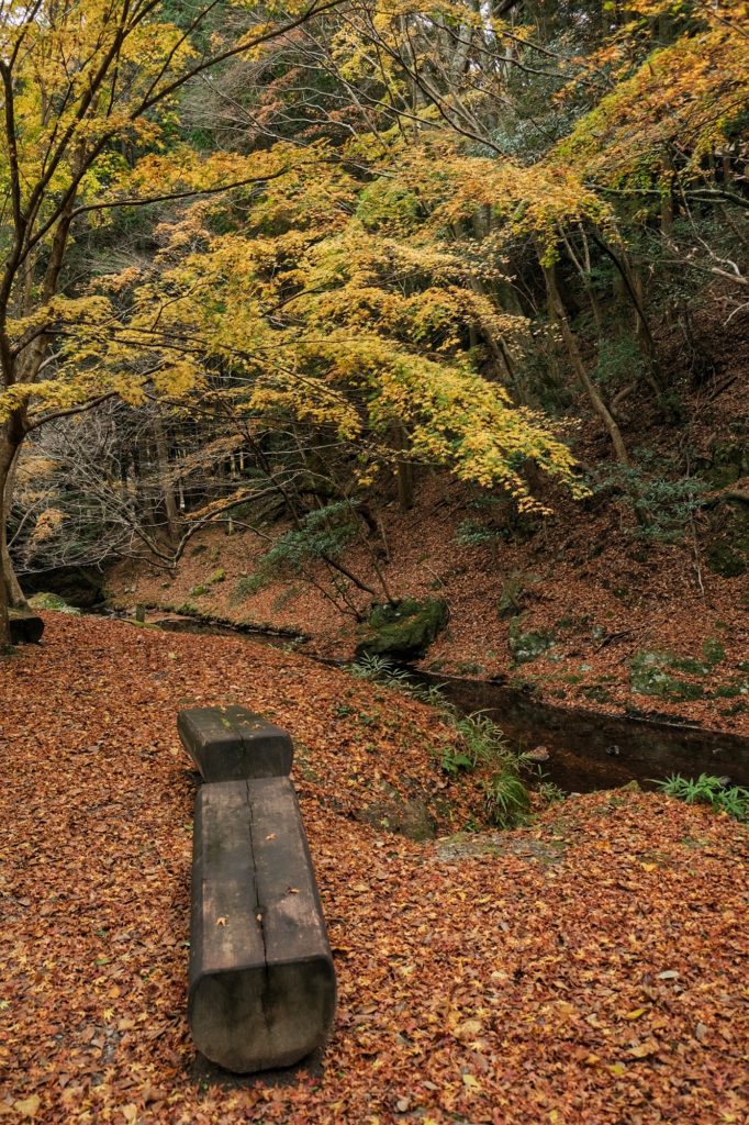 Un banc sur son lit de feuille en automne dans le parc de Minoh