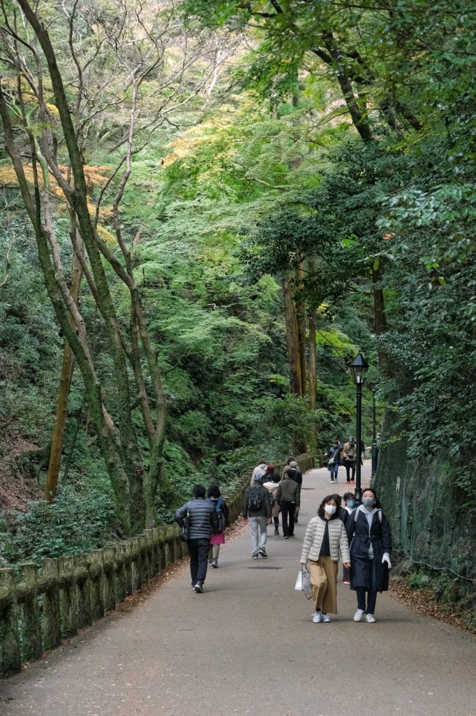 Le chemin qui mène vers les chutes de Minoo