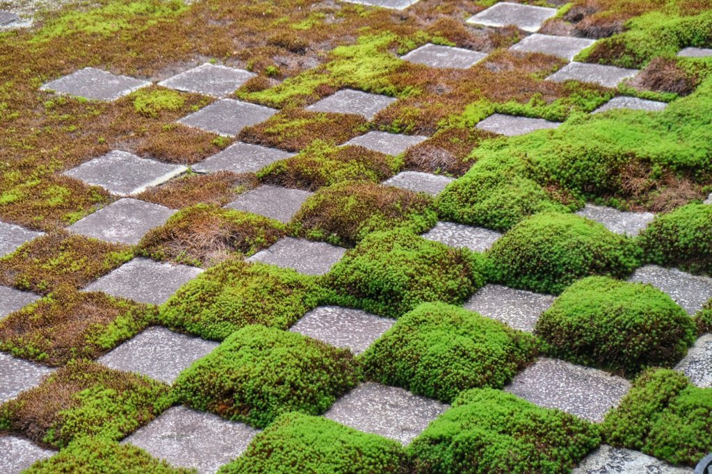 Le jardin Nord en damier du temple Tofuku-ji