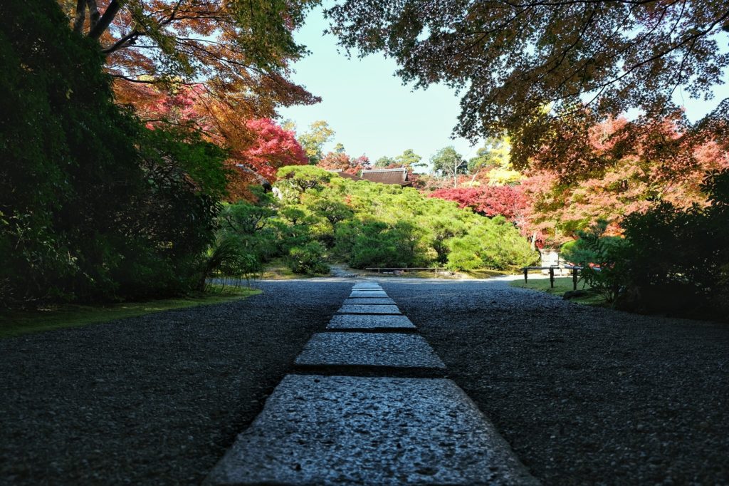 Le chemin central du jardin Okochi Sanso à Kyoto en automne
