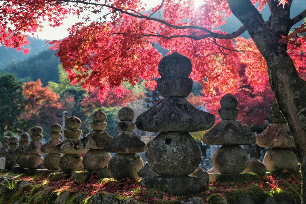Des lanternes devant les momiji rouges au Nenbutsu-ji