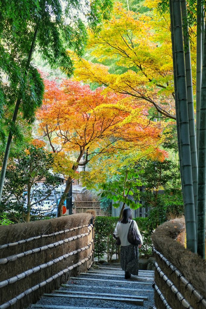 Une femme devant les momiji du Nenbutsu-ji dans le quartier Adashino